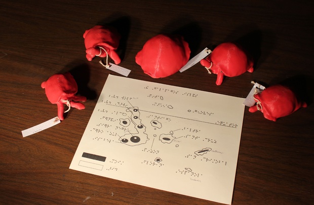 The Galapagos toolbox features anatomically accurate 3-D models of several species of Galapagos tortoises. (Bob Cieri).