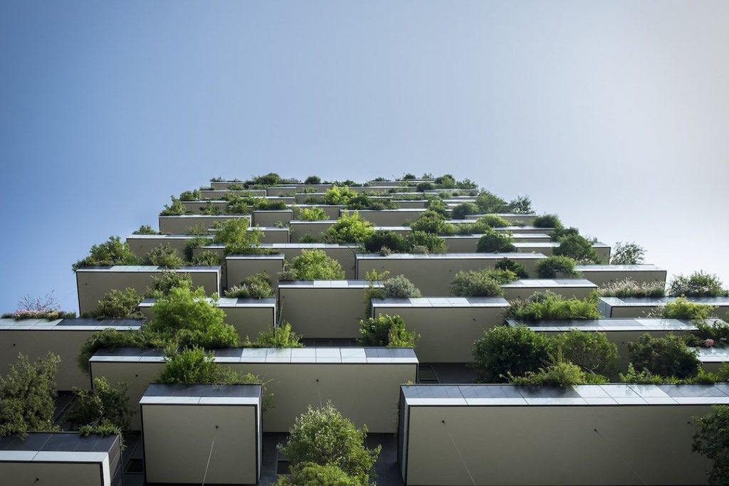 plants balconies building