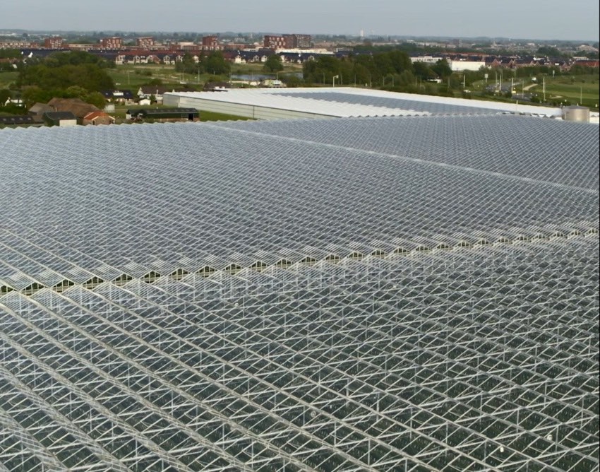 netherlands-farming-large_PFbtKsWP-NWTQ0FBuwXEDsMxrXldUWFHRGcKwJOjp-0