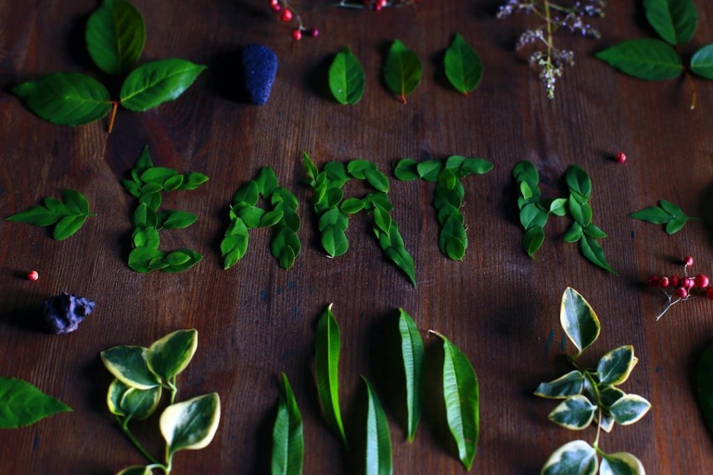 earth-leaves-miriam-espacio-H_a57GKWIMI-unsplash