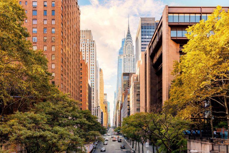 City