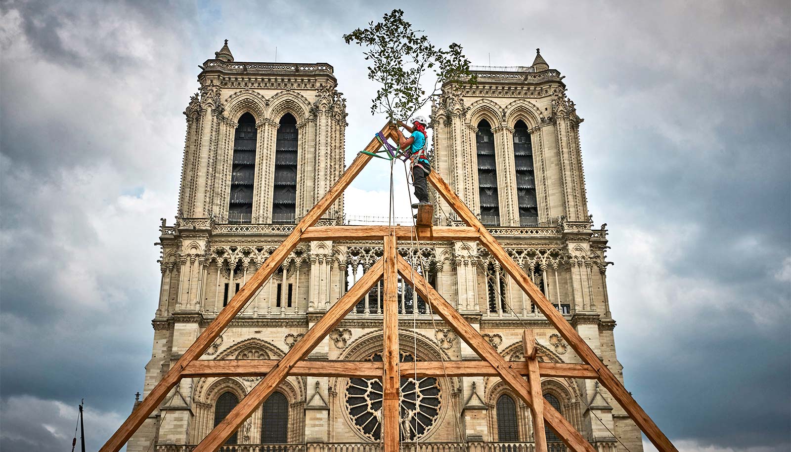 A member of the Charpentiers sans Frontièrs (Carpenters without Borders) tops a reconstruction of one of the missing timber frames of Notre-Dame Cathedral that was destroyed by the 2019 fire, in front of the Cathedral on September 19, 2020 in Paris, France. (Credit: Kiran Ridley/Getty Images)
